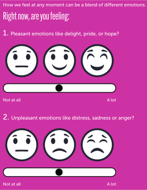 Screenshot of the BIG JOY Project Check In Screen
